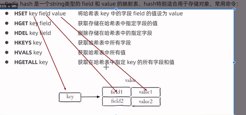 image-20220826122614161